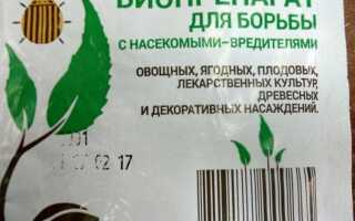 При какой температуре работает фитоверм и битоксибациллин