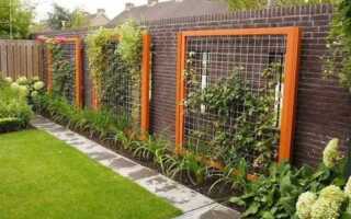 Что посадить вдоль дома на даче