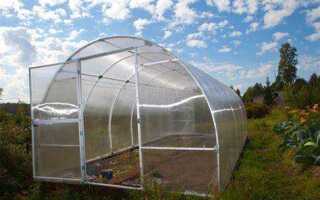 Чем отличается поликарбонат премиум от стандарта для теплиц