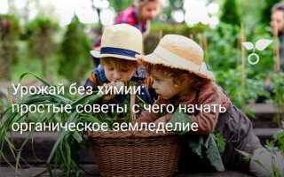 Органическое земледелие с чего начать весной