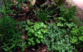 Чем стричь траву в труднодоступных местах