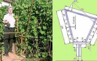 Как натянуть проволоку между столбами для винограда