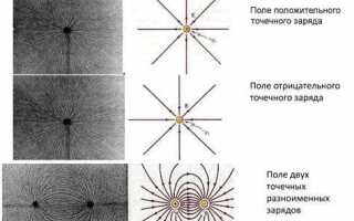 Как возникает электростатическое поле 7 класс
