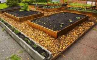 Опилки как удобрение для огорода как применять