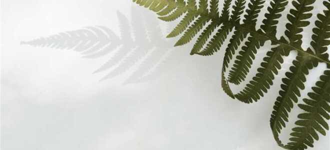 Какие обои экологичнее и безвреднее для здоровья