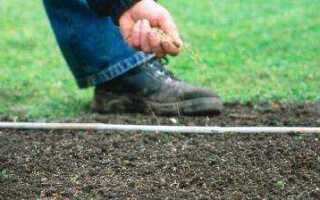 Как равномерно посеять газонную траву без сеялки