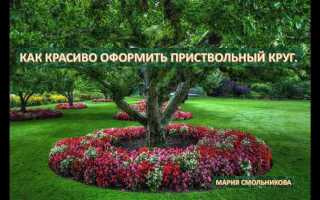 Чем засадить границу русла каменного ручья