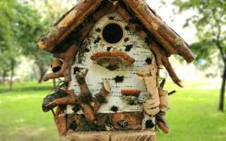 Когда вешать скворечники для птиц в подмосковье
