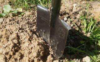 Чем копать землю вместо лопаты техника