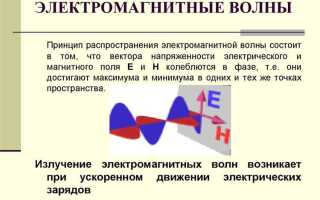 Как можно назвать частицу электромагнитной волны