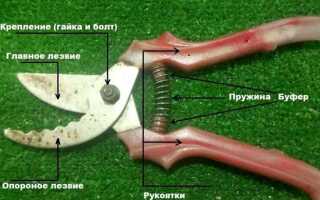 Как заточить секатор садовый в домашних условиях