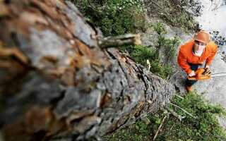 Как спилить дерево бензопилой в нужном направлении