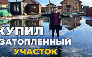 Куда отводить воду с участка если нет канавы