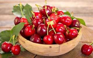 Какую черешню посадить в подмосковье отзывы садоводов