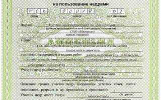 Сколько стоит лицензия на скважину для физических лиц