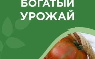 Система нисо для сада что это такое