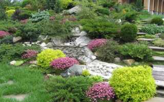 Что посадить перед домом на солнечной стороне