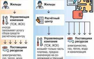 Тсн и снт в чем разница