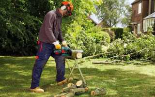 Для работы с какой пилой может потребоваться помощь друга