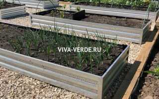 Какие грядки лучше оцинкованные или из дпк