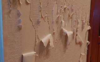 Как шпаклевать стены из гипсокартона под покраску