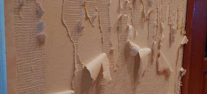 Как шпаклевать стены из гипсокартона под покраску