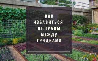 Как засыпать щебнем участок чтобы не росла трава