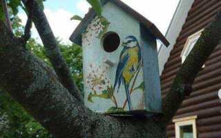 Чем покрасить скворечник из фанеры