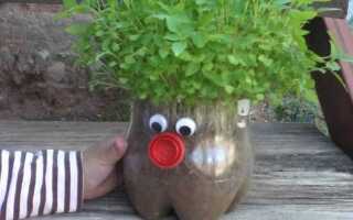 Как сделать из 5 литровой бутылки горшок для цветов
