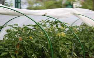 Как постелить агроволокно под уже посаженные растения