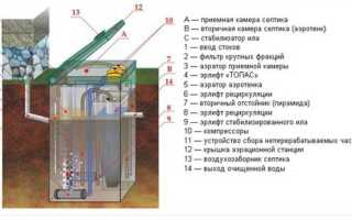 Какие бактерии лучше для септика топас
