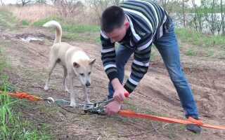 Как вытащить машину ручной лебедкой