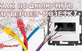 Писк из розетки что это