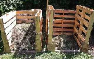 Как сделать биореактор своими руками