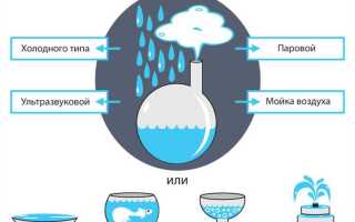 Чем вредна низкая влажность в квартире