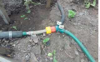 Как поливать из бочки шлангом с насосом