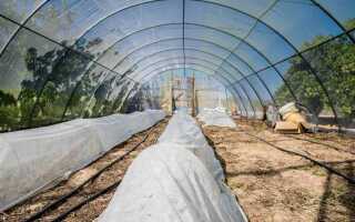 Что лучше для теплицы пленка или спанбонд