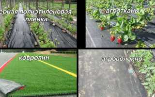 Чем засеять участок от сорняков весной на все лето