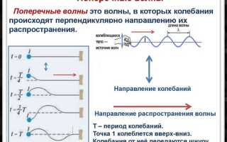 Что называется волнами физика 9 класс