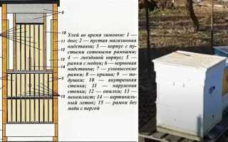 Как устроен улей для пчел внутри