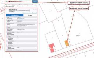 Как найти собственника заброшенного дачного участка