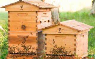 Какой краской покрасить улья для пчел