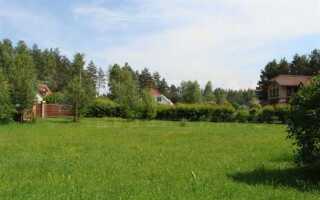 Как купить участок в лесу без соседей у государства