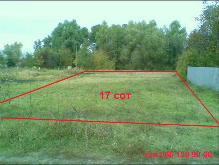 Как 19 соток могут быть использованы для строительства и сельского хозяйства