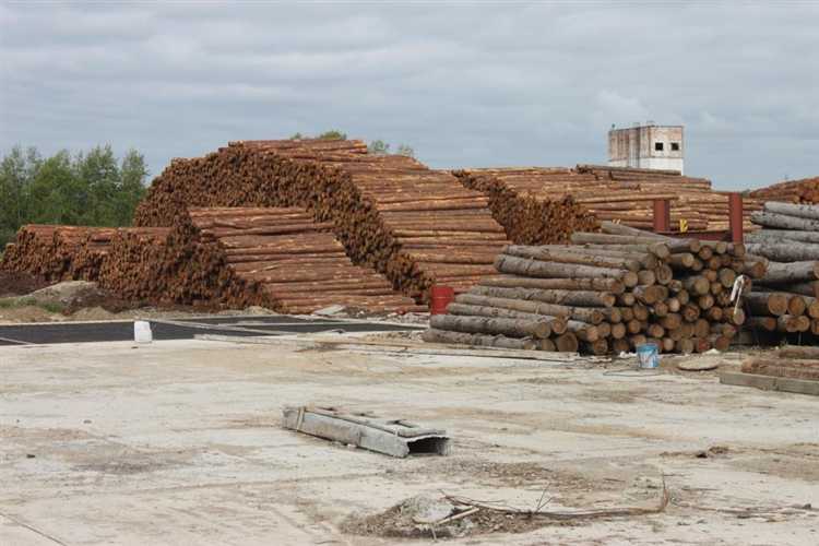 50 кубов леса это сколько фото