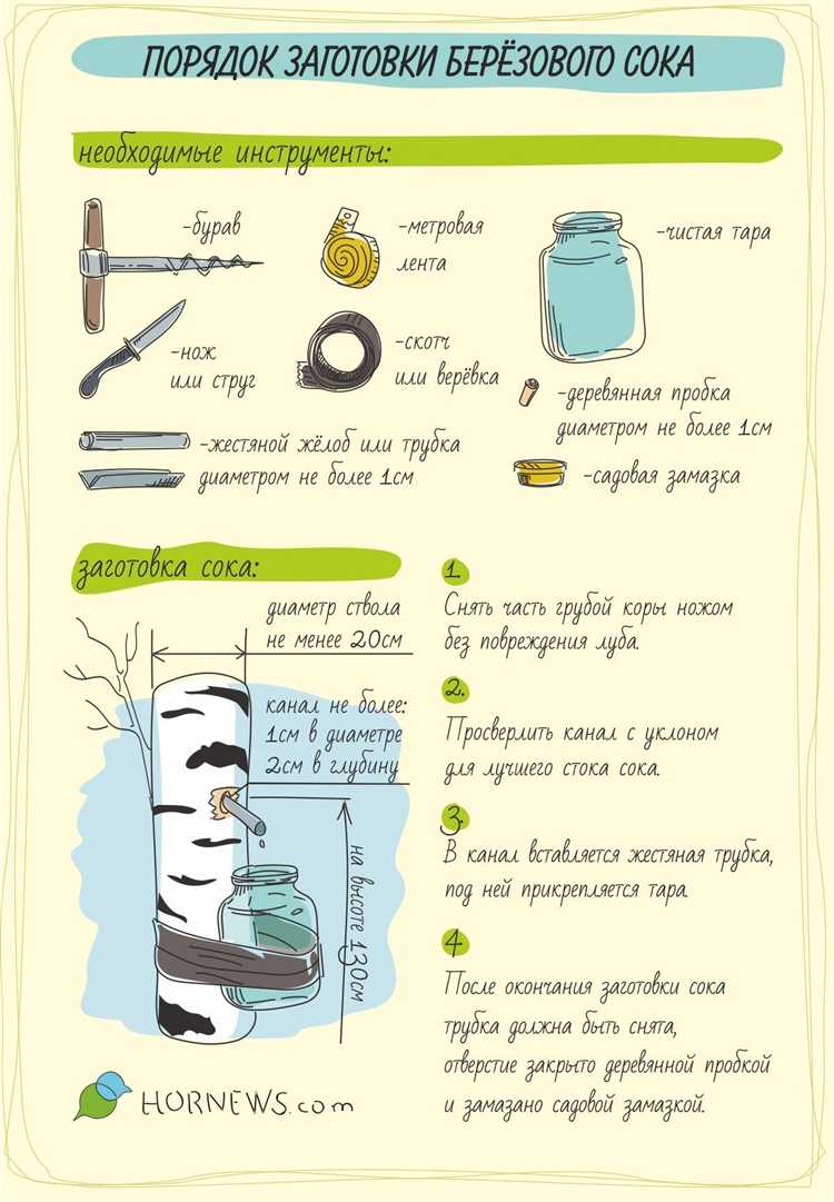 Как контролировать поток сока и предотвращать его утечку