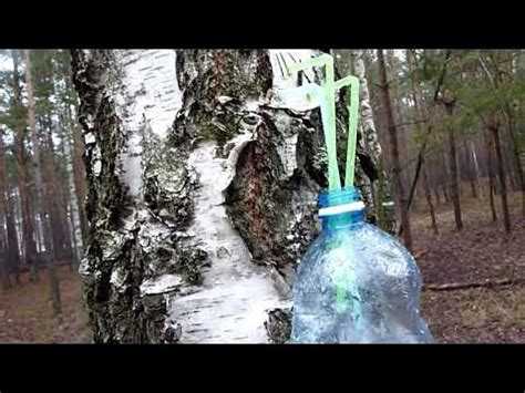 Подготовка шуруповерта и сверла для работы с деревом