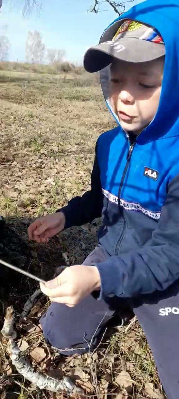 Березовый сок шуруповертом как добыть Березовый сок шуруповертом как добыть