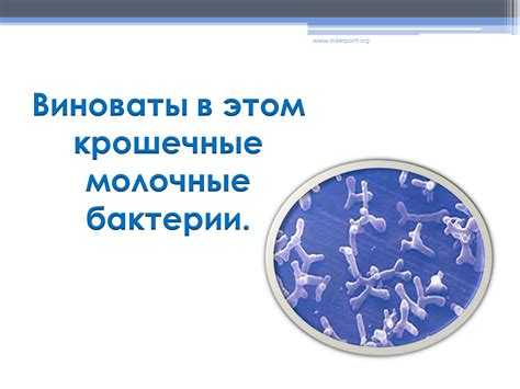 Методы контроля и мониторинга восстановления бактериальной среды