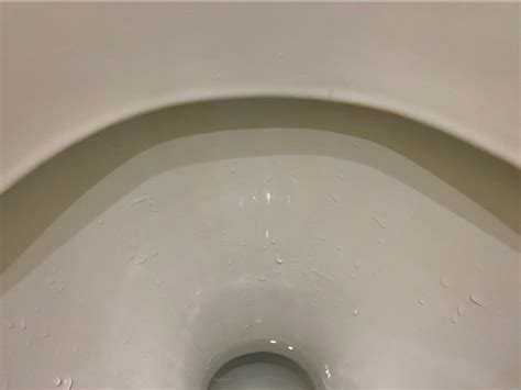 Чем заткнуть унитаз на время отъезда